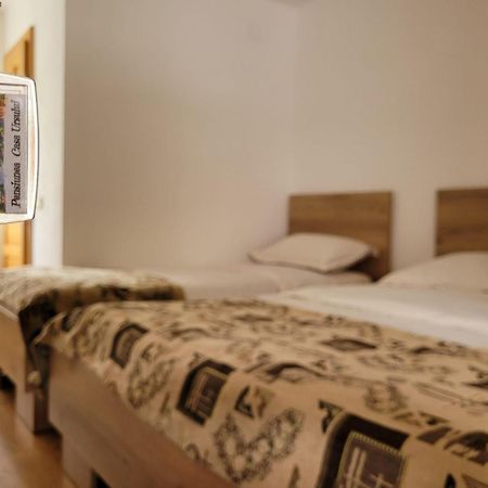 Casa Ursului Villa Vadu Motilor Eksteriør billede