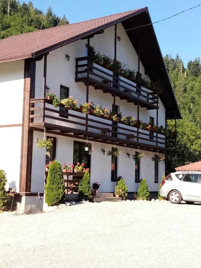 Casa Ursului Villa Vadu Motilor Eksteriør billede