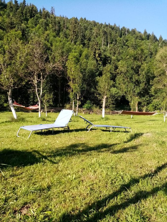Casa Ursului Villa Vadu Motilor Eksteriør billede