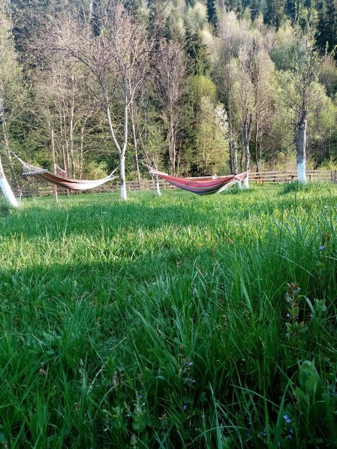 Casa Ursului Villa Vadu Motilor Eksteriør billede