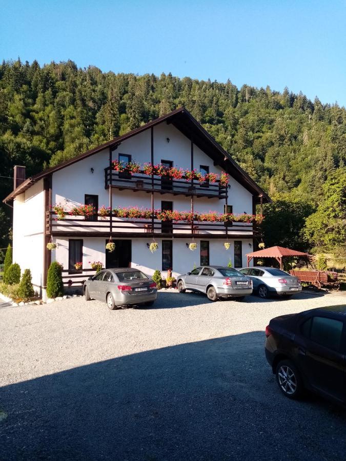 Casa Ursului Villa Vadu Motilor Eksteriør billede