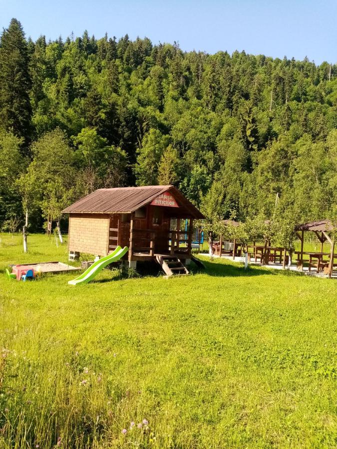 Casa Ursului Villa Vadu Motilor Eksteriør billede