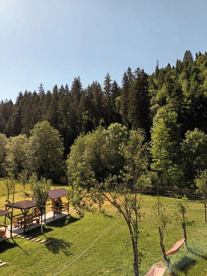 Casa Ursului Villa Vadu Motilor Eksteriør billede