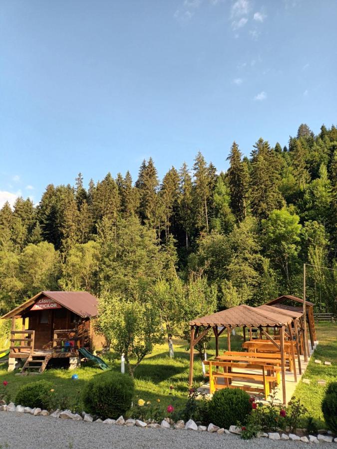 Casa Ursului Villa Vadu Motilor Eksteriør billede