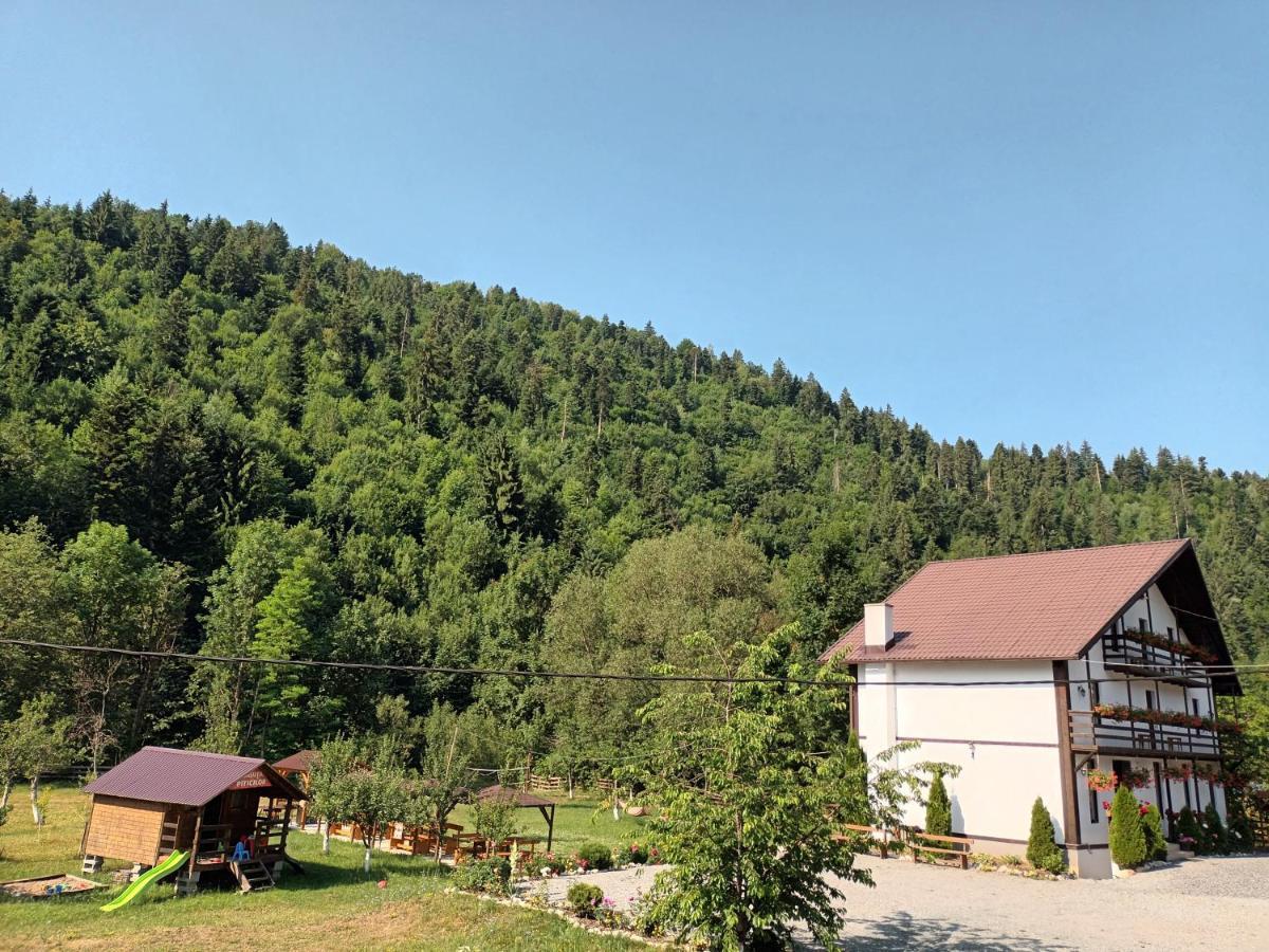 Casa Ursului Villa Vadu Motilor Eksteriør billede
