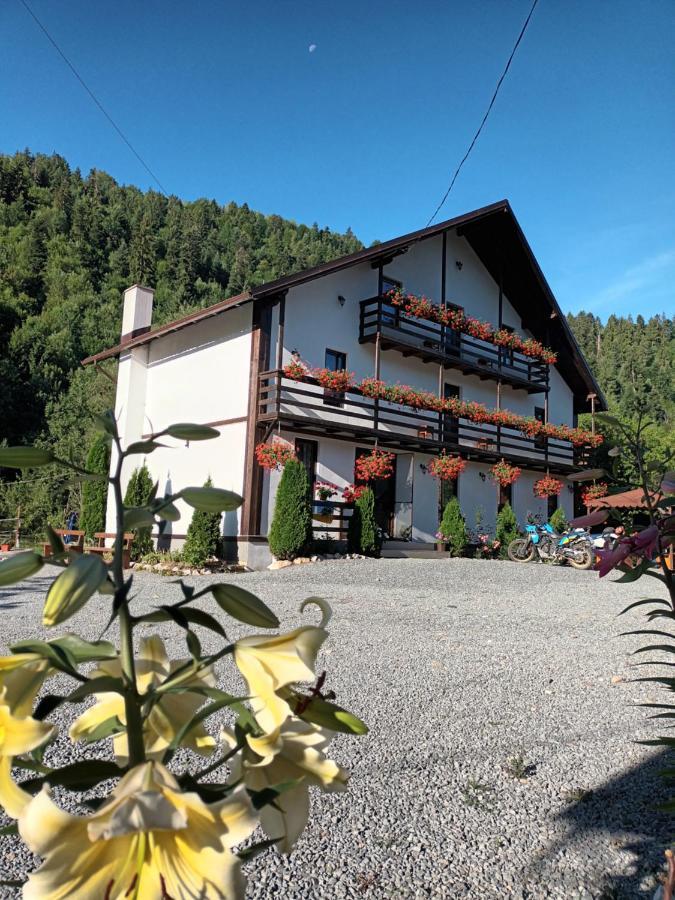 Casa Ursului Villa Vadu Motilor Eksteriør billede