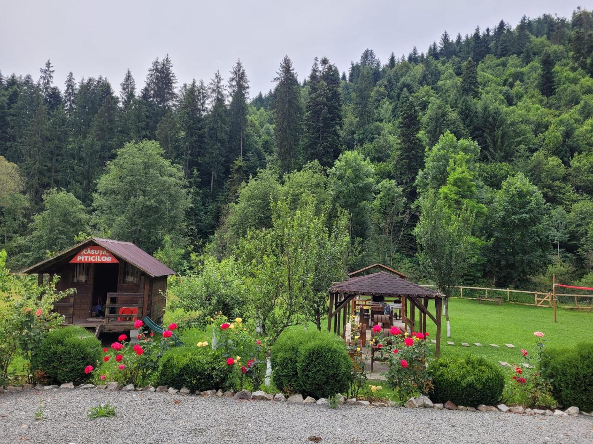 Casa Ursului Villa Vadu Motilor Eksteriør billede