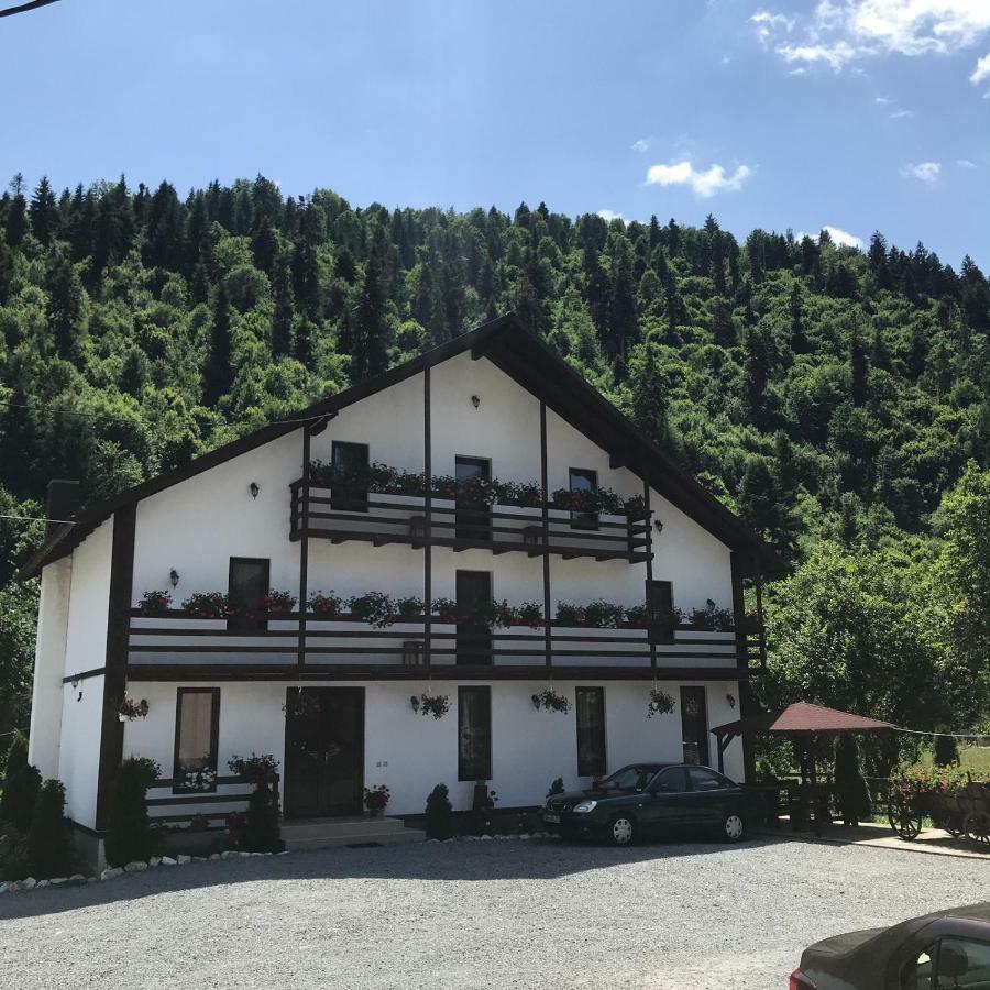 Casa Ursului Villa Vadu Motilor Værelse billede