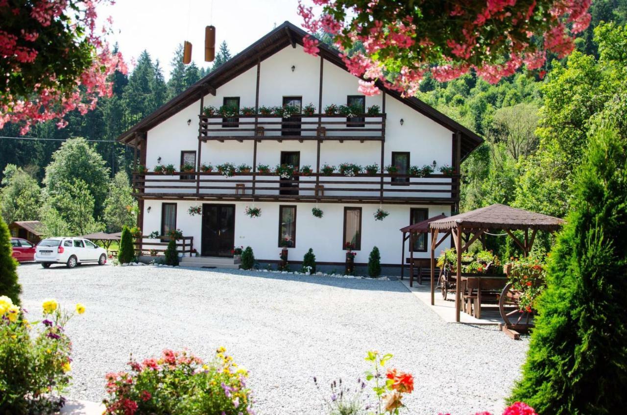 Casa Ursului Villa Vadu Motilor Eksteriør billede